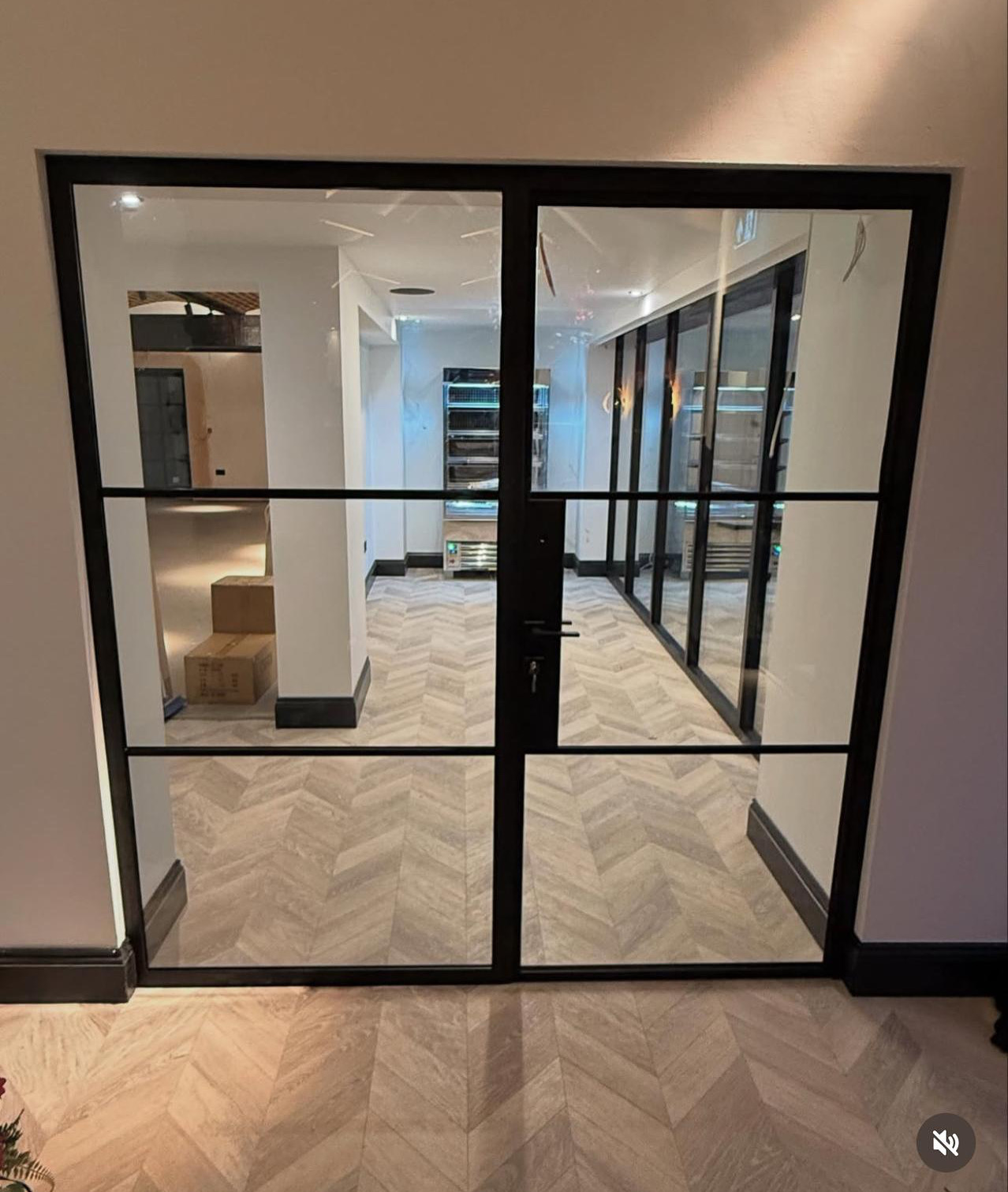 thin-framed-internal-steel-door